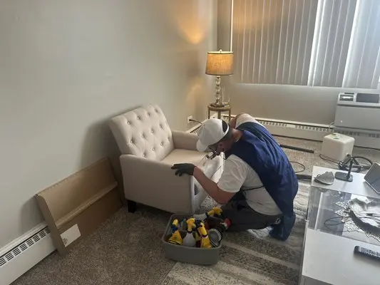 FriendlyProClean technician detail-cleaning an upholstered chair
